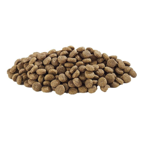 Harringtons hypoallergenic clearance 5kg