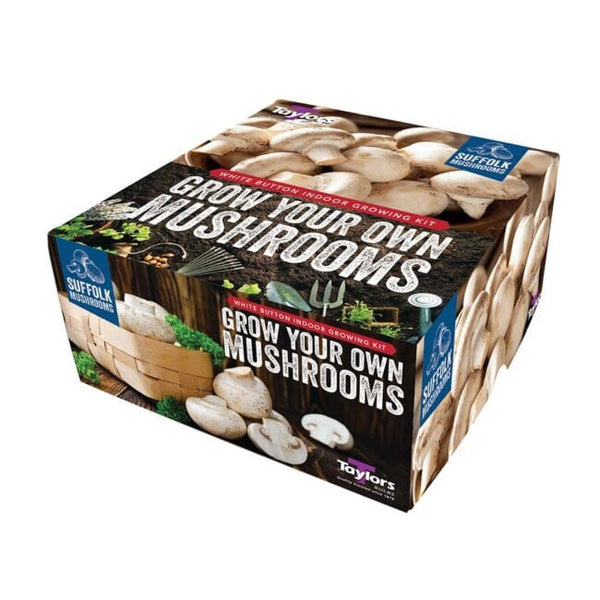 white button mushroom growing kits