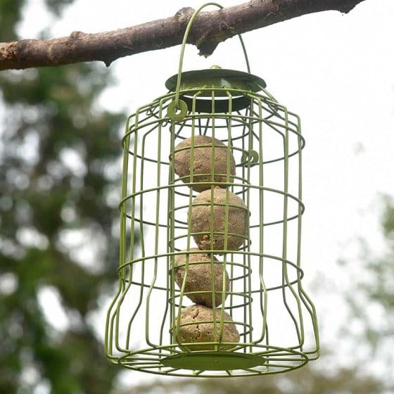 ChapelWood Squirrel Proof Feeders Chapelwood Original Squirrel Proof Suet Ball Feeder