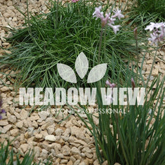 Meadow View Landscaping Cotswold Buff Chippings 13-20mm