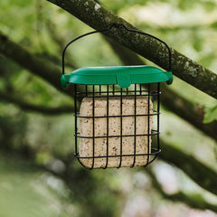 Gardman Suet Cakes Gardman Seed and Mealworm Suet Feast