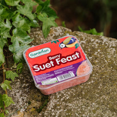 Gardman Suet Feast 3 Pack