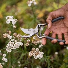 Kent & Stowe Shears Kent & Stowe Traditional Secateurs Twin Pack