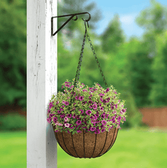 Panacea Hanging Baskets Panacea 14" Hanging Basket with Bracket