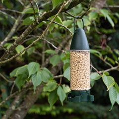 Peckish Suet Pellets Peckish Complete Energy Bites Ready to use feeder