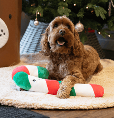 Rosewood Dog Toys Rosewood Christmas Carrie Candy Cane Dog Toy