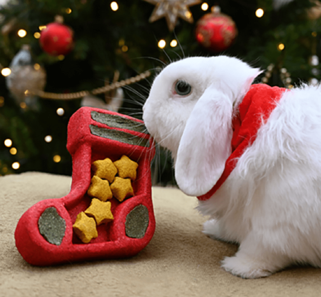 Rosewood Small Animal Treats Rosewood Christmas Puzzle Stocking Small Animal Treat