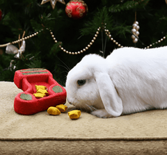 Rosewood Small Animal Treats Rosewood Christmas Puzzle Stocking Small Animal Treat