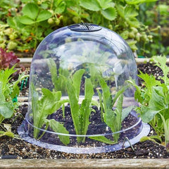 Smart Garden Bell Cloche Smart Garden Bell Cloche 3pk