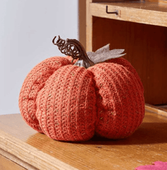 Smart Garden Autumn Decor Smart Garden DecorPumpkin Large