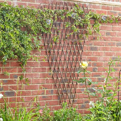 Smart Garden Topiary Trellis Smart Garden Expanding Fan Willow Trellis 1.8 x 0.9m