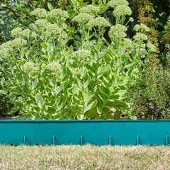 Smart Garden Garden Borders & Edging Smart Garden FlexEdge, Green, 115cm x 15cm