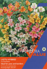 Taylors Flower Bulbs Taylors Alstroemeria