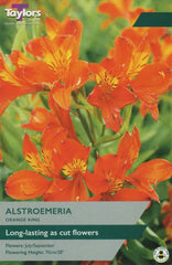 Taylors Flower Bulbs Taylors Alstroemeria Orange King