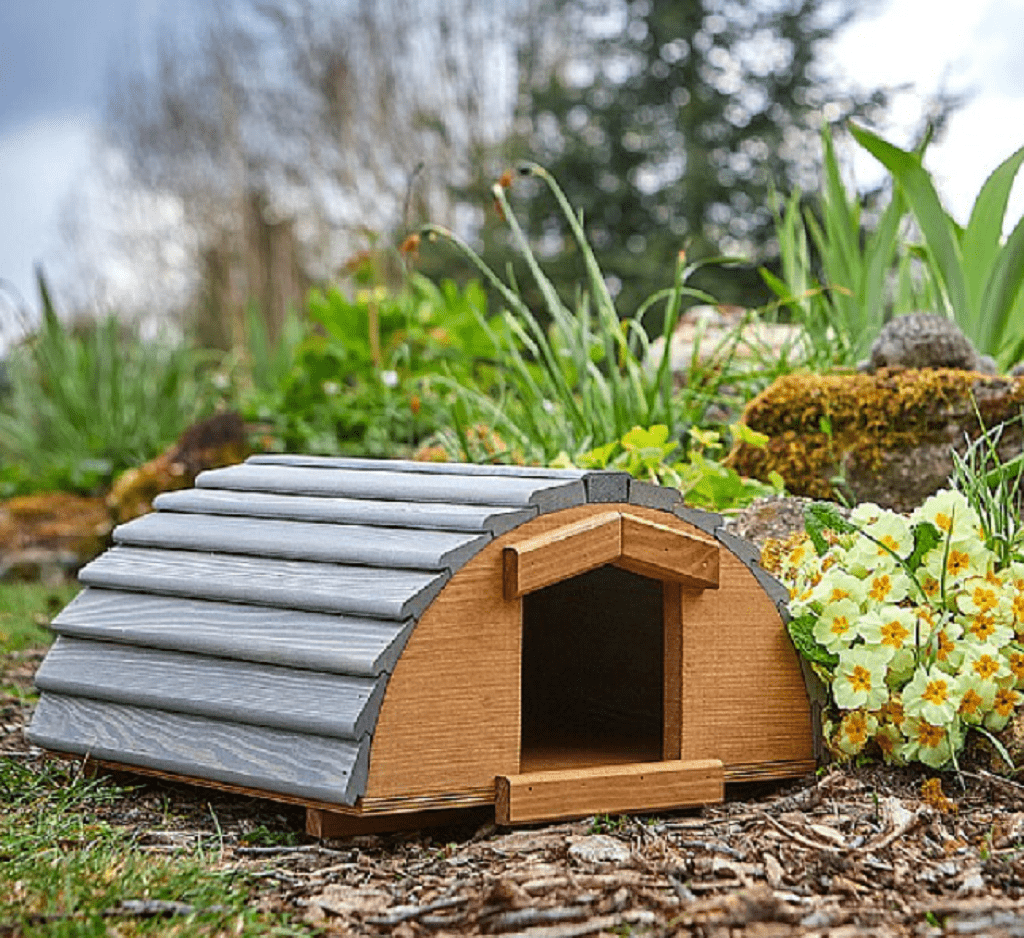 Tom Chambers Hedgehog House Tom Chambers Vermont Hedgehog House