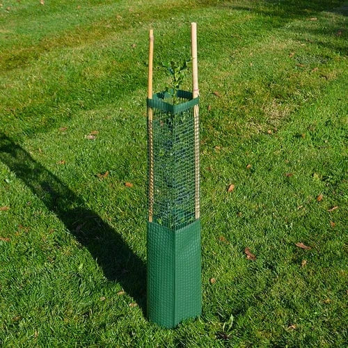 Botanico Tree Guard Tree Guard 0.6m x 13cm Green