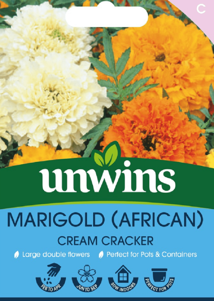 Unwins Seeds Unwins African Marigold Cream Cracker Seeds