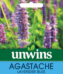 Unwins Flower Seeds Unwins Agastache Lavender Blue Flower Seeds