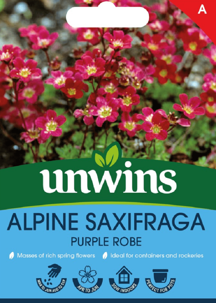 Unwins Seeds Unwins Alpine Saxifraga Purple Robe Seeds