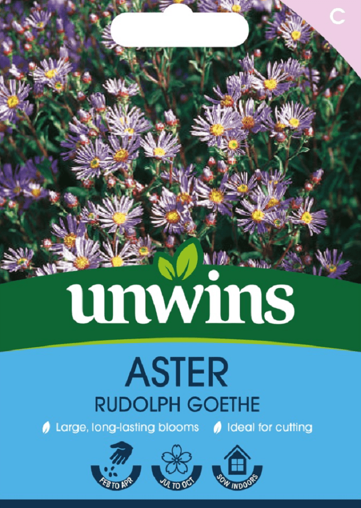 Unwins Seeds Unwins Aster Rudolph Goethe Seeds