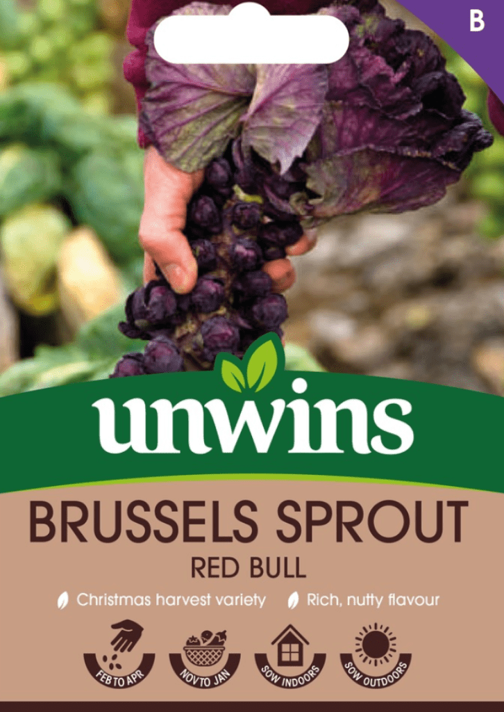 Unwins Seeds Unwins Brussels Sprout Red Bull Seeds