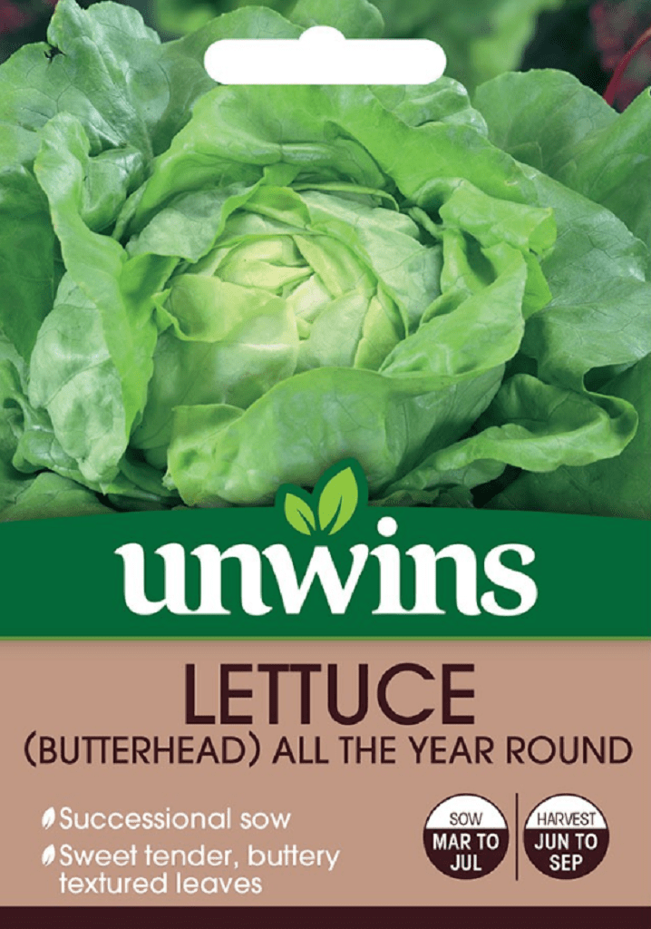 Unwins Seeds Unwins Butterhead All Year Round Lettuce Seeds