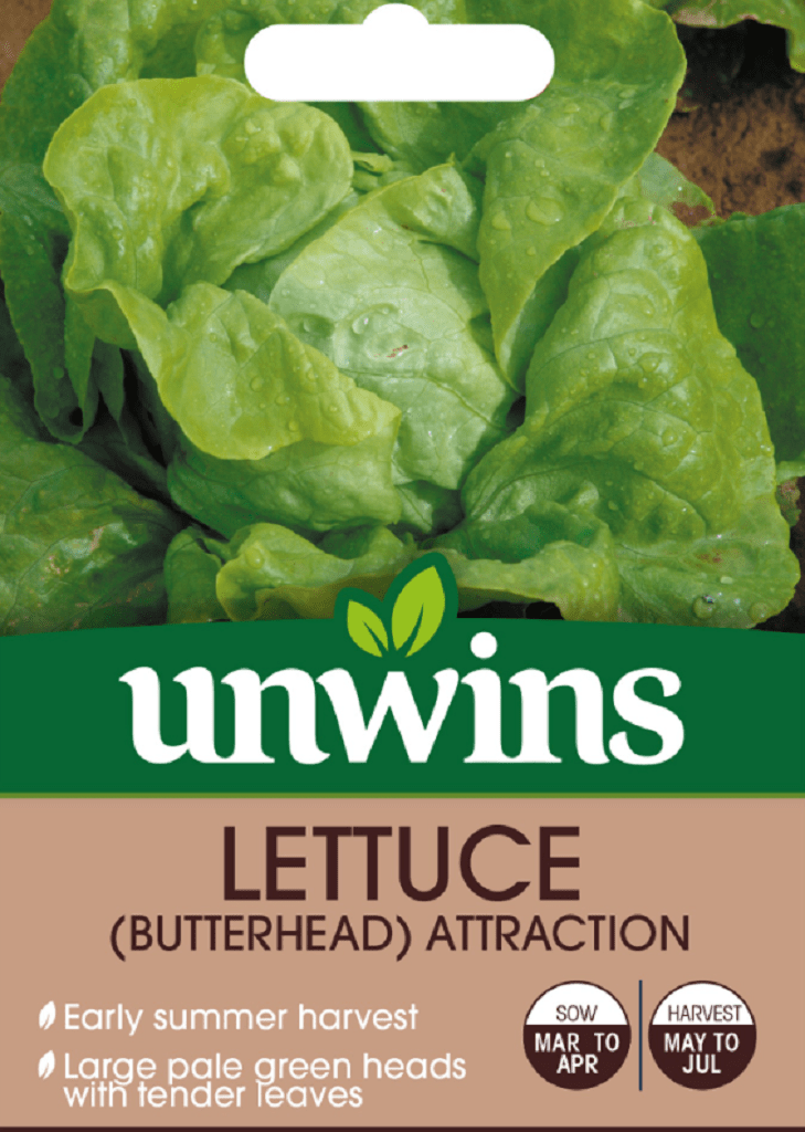 Unwins Seeds Unwins Butterhead Attraction Lettuce Seeds