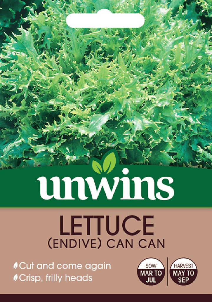 Unwins Seeds Unwins Endive Can Can Lettuce Seeds