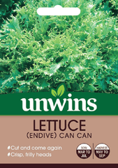 Unwins Seeds Unwins Endive Can Can Lettuce Seeds