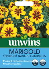 Unwins Seeds Unwins French Marigold Naughty Marietta Seeds