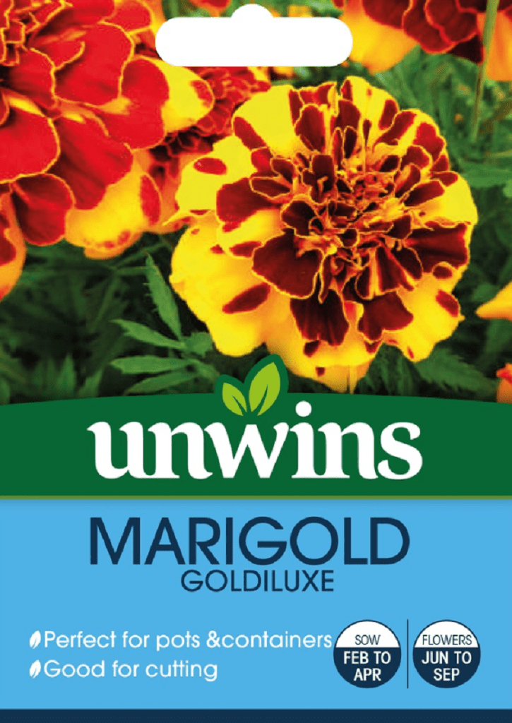 Unwins Seeds Unwins Marigold Goldiluxe Seeds