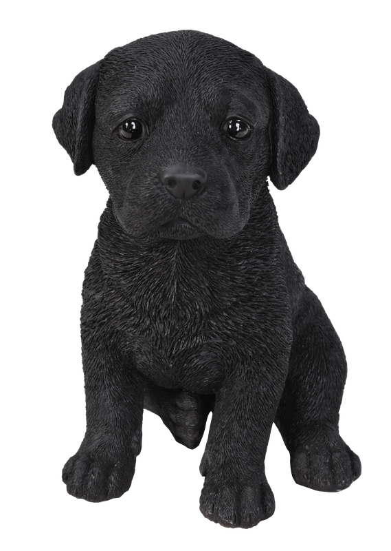 Vivid Arts Indoor & Outdoor Ornaments Vivid Arts Pet Pal Black Labrador Puppy