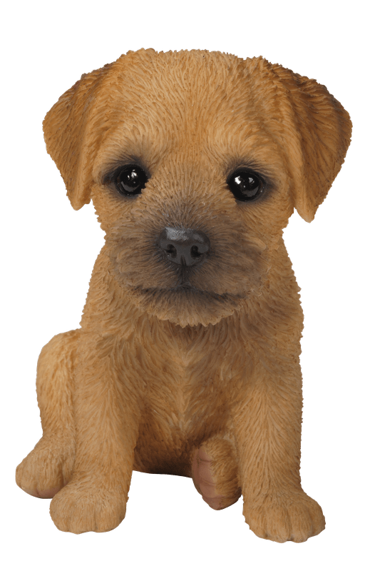 Vivid Arts Indoor & Outdoor Ornaments Vivid Arts Pet Pal Border Terrier Puppy (no SKU)