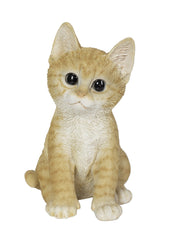 Vivid Arts Indoor & Outdoor Ornaments Vivid Arts Pet Pal Ginger Kitten (no sku)