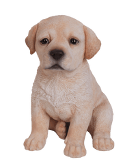 Vivid Arts Indoor & Outdoor Ornaments Vivid Arts Pet Pal Golden Labrador Puppy