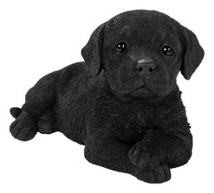 Vivid Arts Indoor & Outdoor Ornaments Vivid Arts Pet Pal Laying Black Labrador Puppy