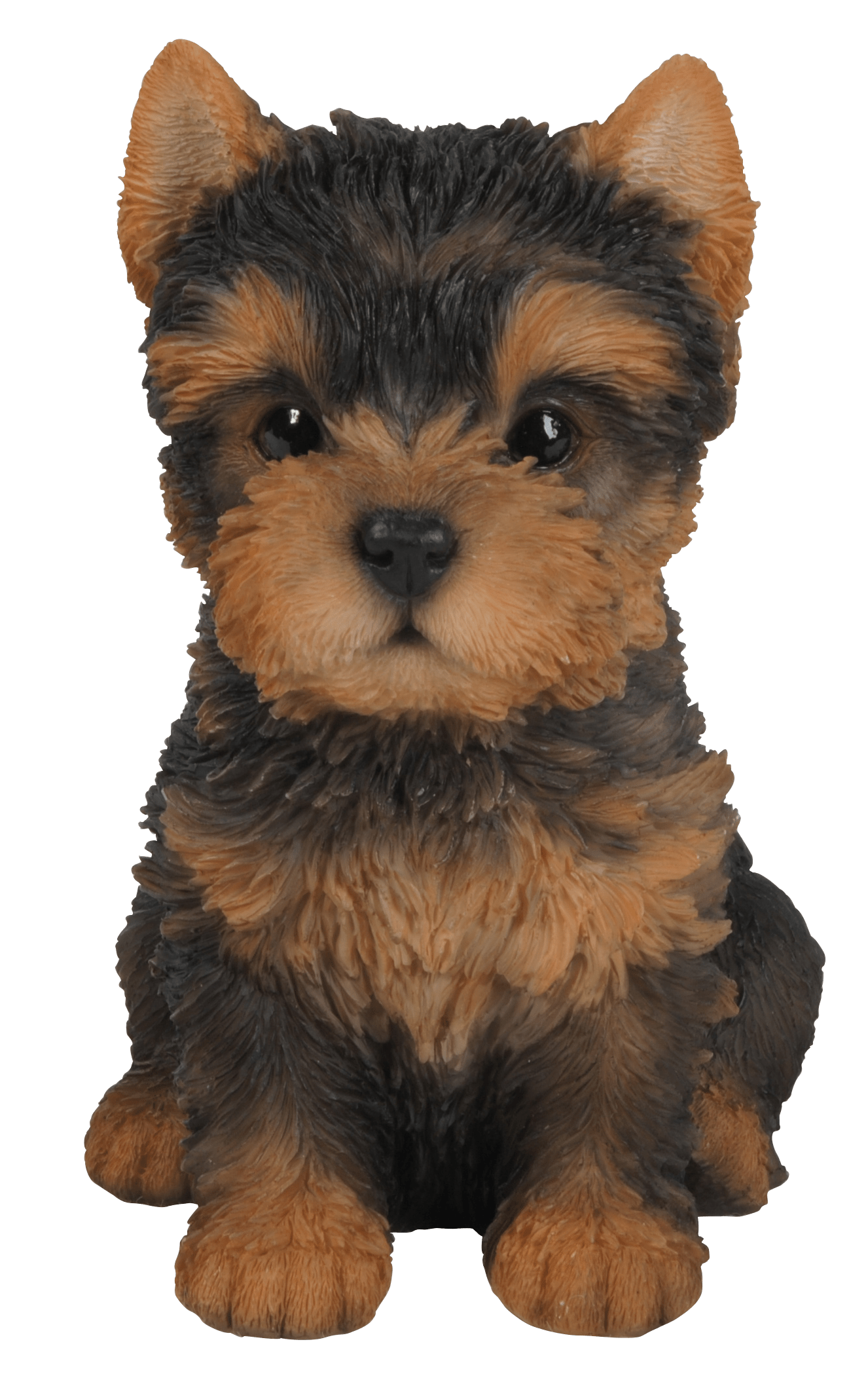 Vivid Arts Indoor & Outdoor Ornaments Vivid Arts Pet Pal Yorkshire Terrier Puppy