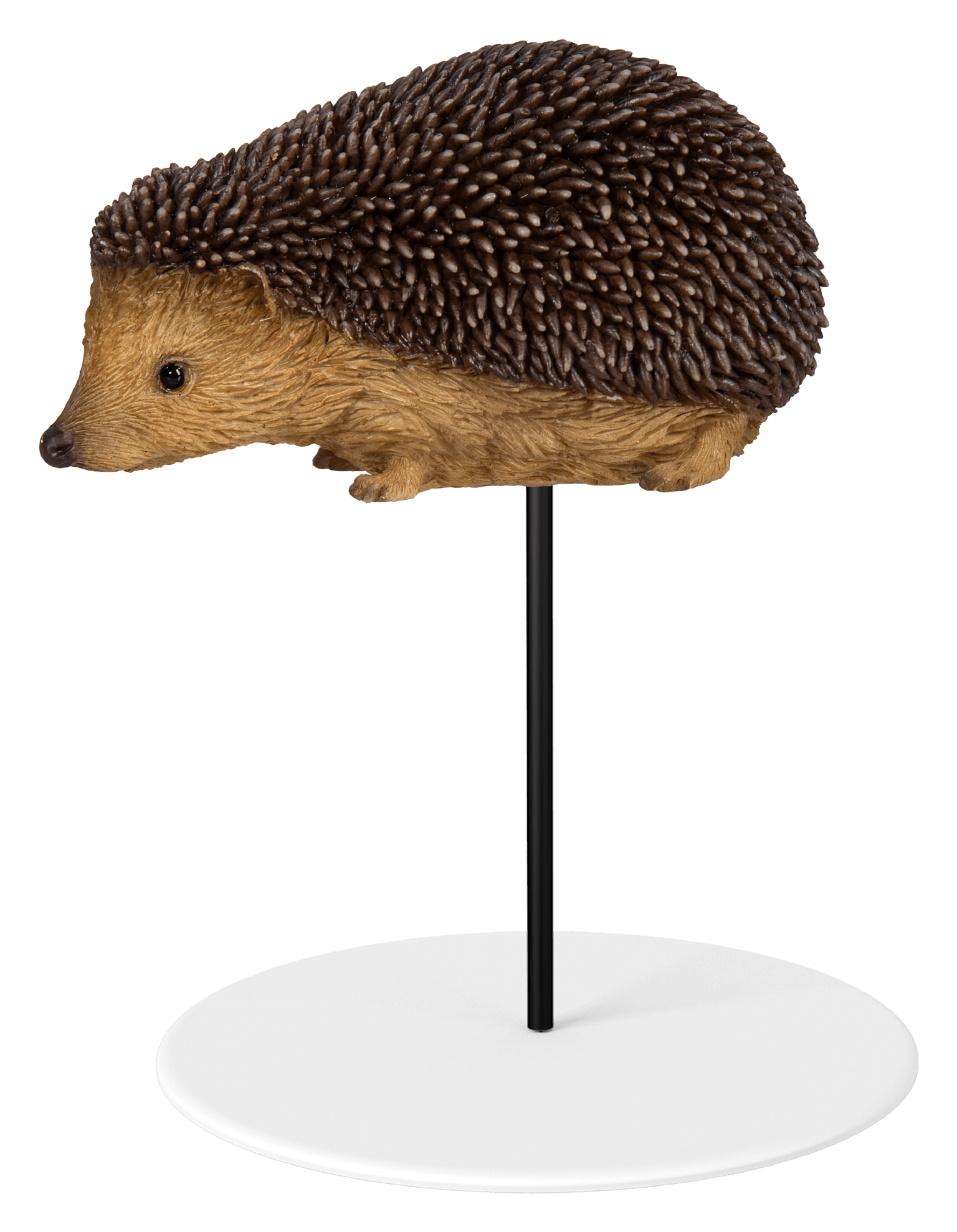 Vivid Arts Indoor & Outdoor Ornaments Vivid Arts Plant Pal Hedgehog