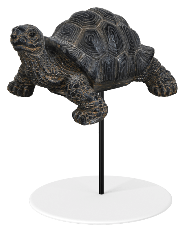 Vivid Arts Indoor & Outdoor Ornaments Vivid Arts Plant Pal Tortoise