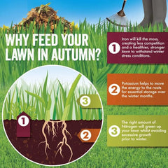 Westland Horticulture Autumn Lawn Care Westland Aftercut All in One Autumn Lawn Feed & Moss Killer 350m2