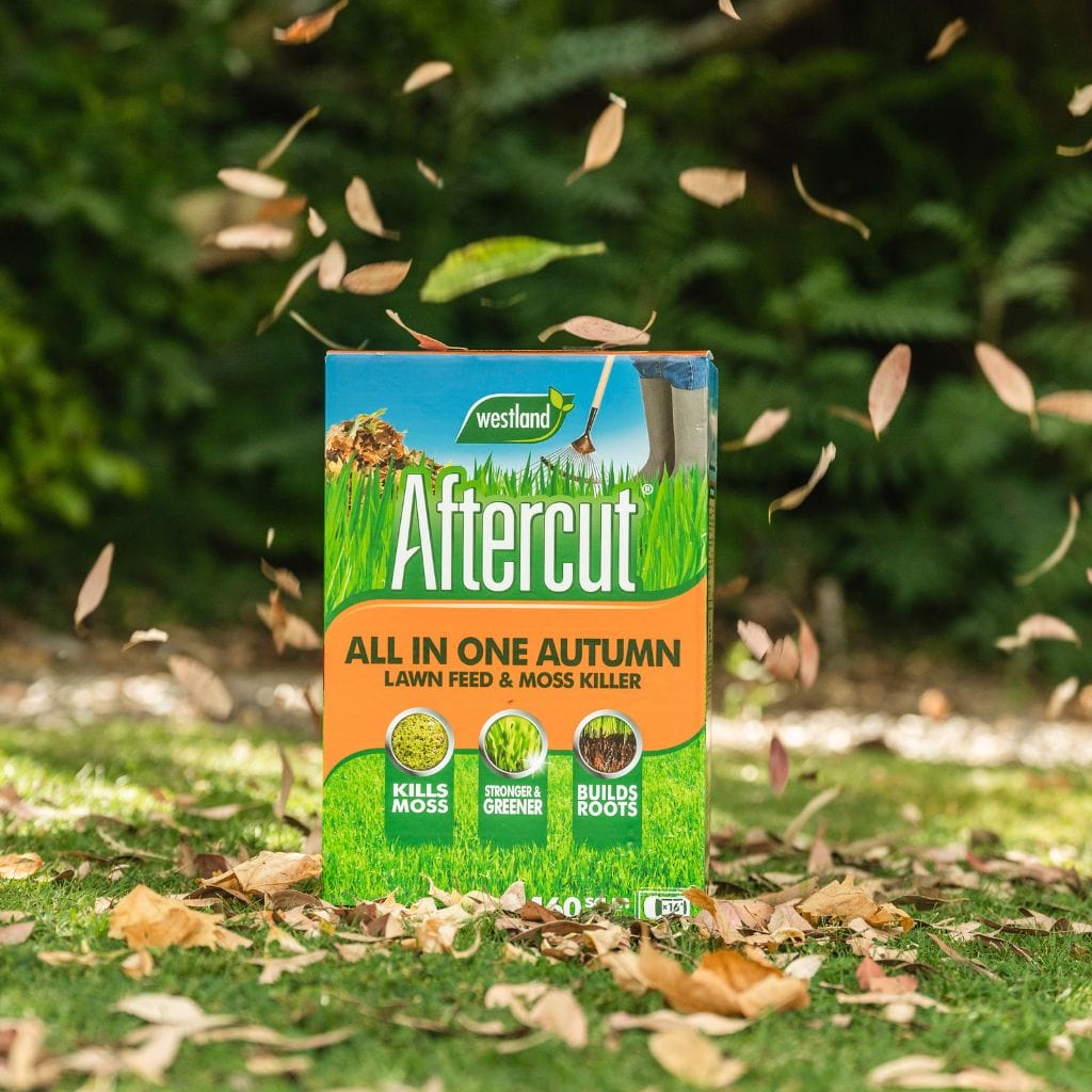 Westland Horticulture Autumn Lawn Care Westland Aftercut Autumn Lawn Care 80 sqm