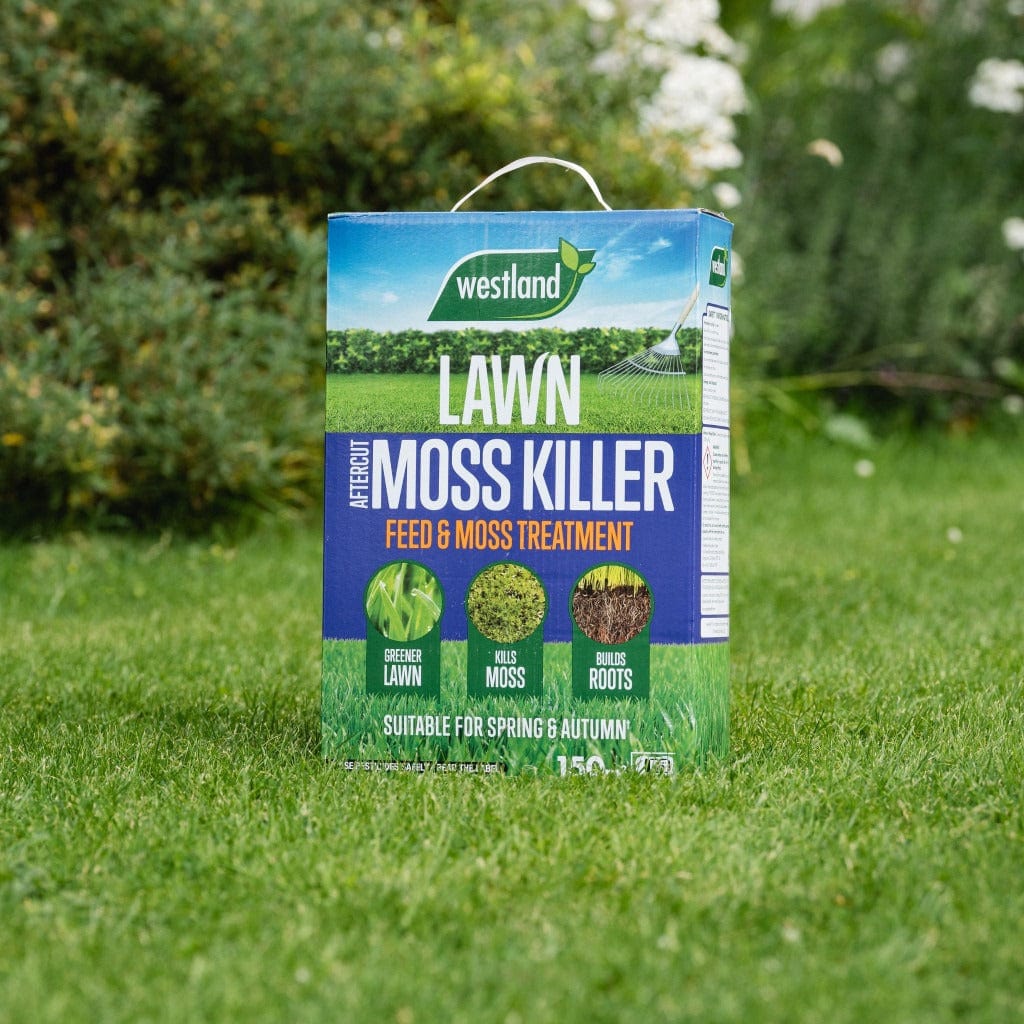 Westland Horticulture Lawn Moss Remover Westland Aftercut Moss Killer 150m² Box