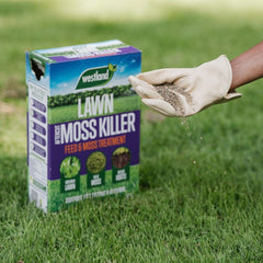 Westland Horticulture Lawn Moss Remover Westland Aftercut Moss Killer 150m² Box