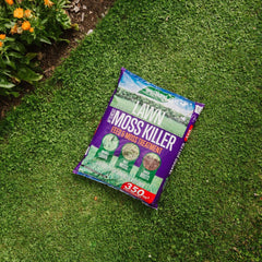 Westland Horticulture Lawn Moss Remover Westland Aftercut Moss Killer 350m² Bag