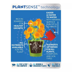 Westland Horticulture Plant Food Westland Boost All Purpose Liquid Plant Feed