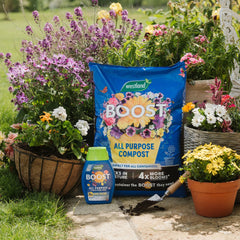 Westland Horticulture Plant Food Westland Boost All Purpose Liquid Plant Feed