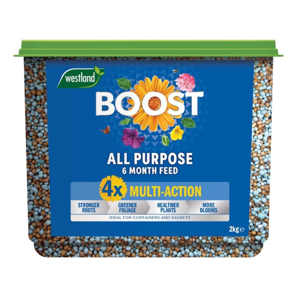 Westland Horticulture Plant Food Westland Boost All Purpose Slow Release Plant Feed 2kg