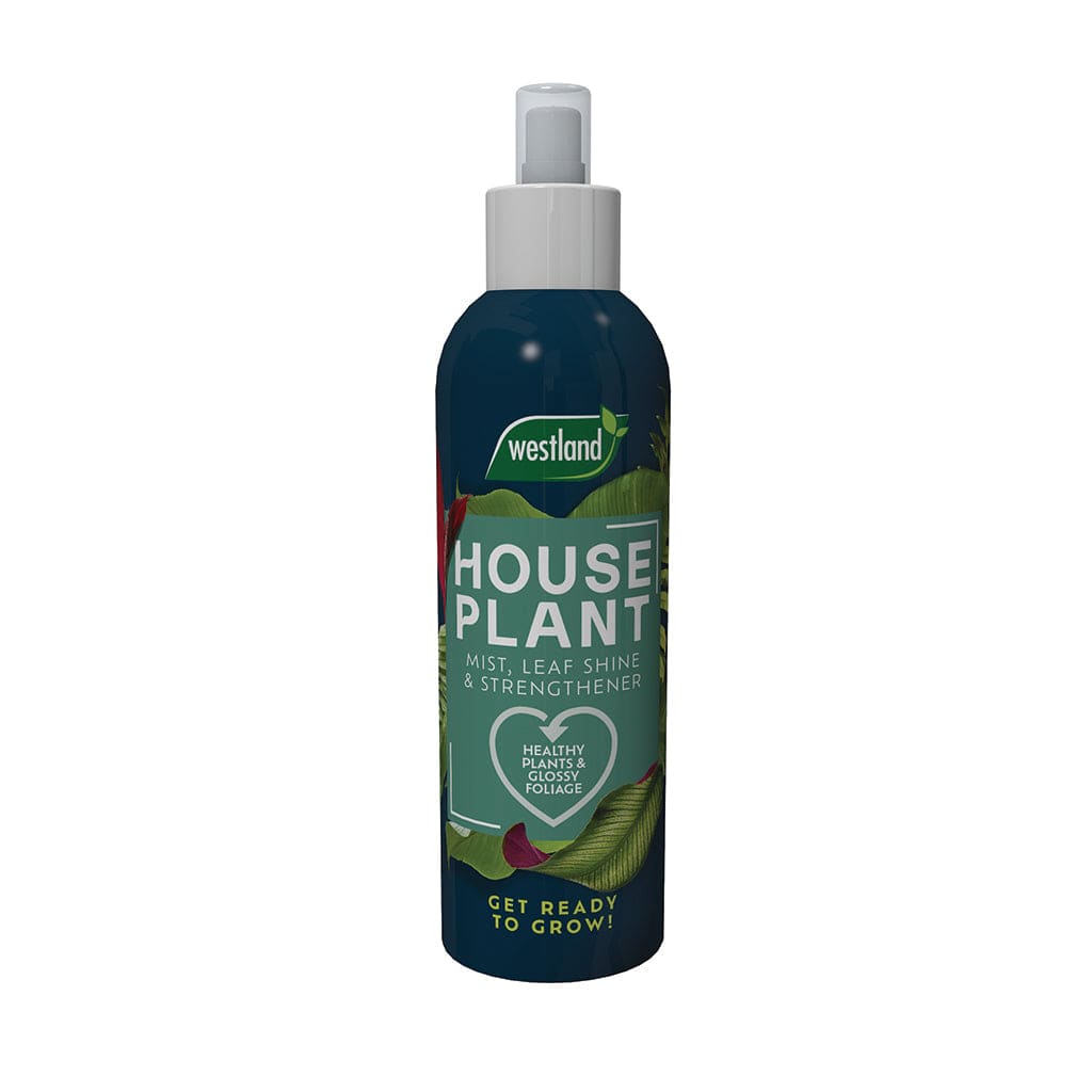 Westland Horticulture Houseplant Feeds Westland Houseplant Mist, Leaf Shine & Strengthener