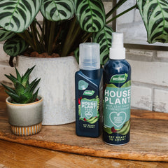 Westland Horticulture Houseplant Feeds Westland Houseplant Mist, Leaf Shine & Strengthener