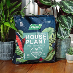 Westland Horticulture Houseplant Potting Mix Westland Houseplant Potting Mix 10L